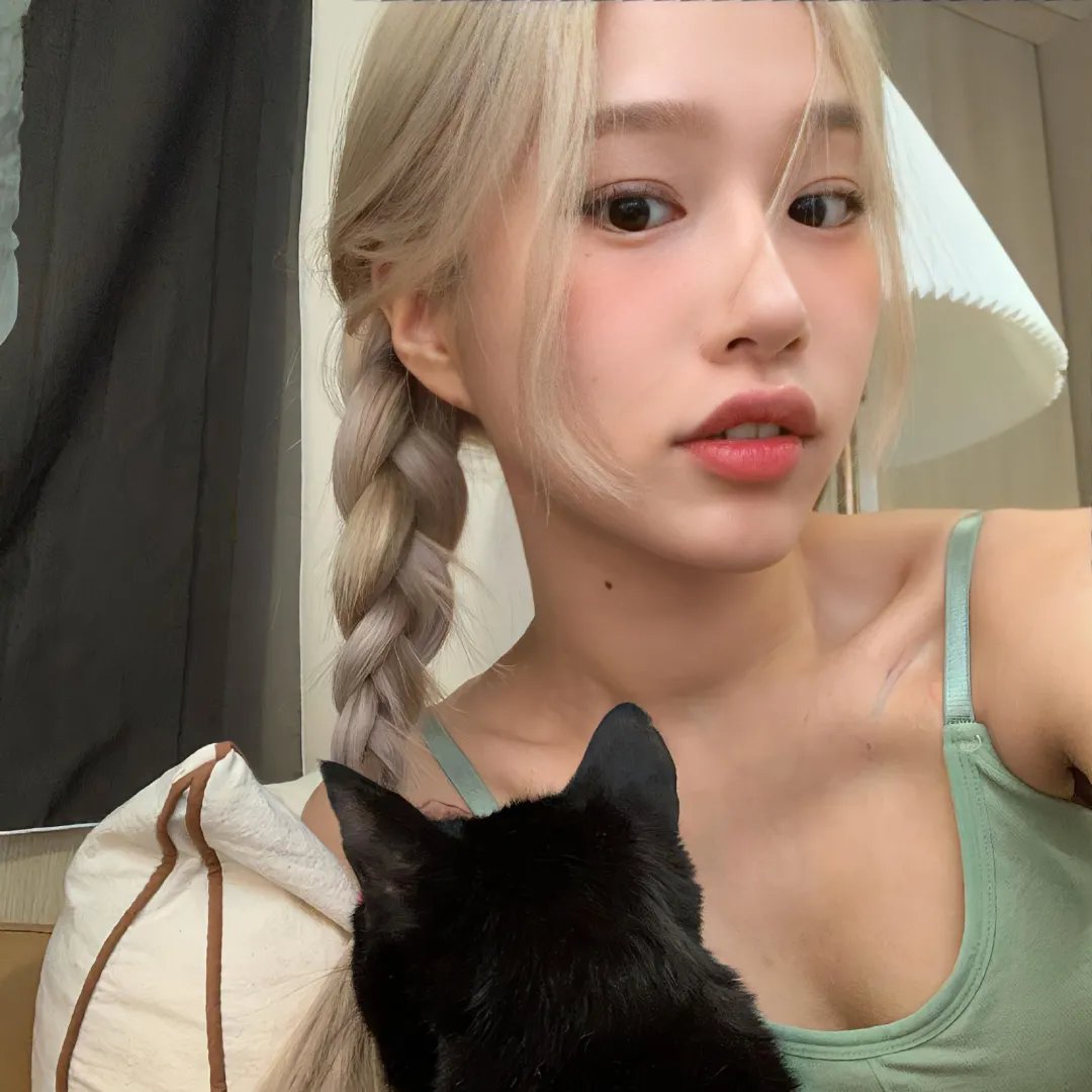 猫的葬礼